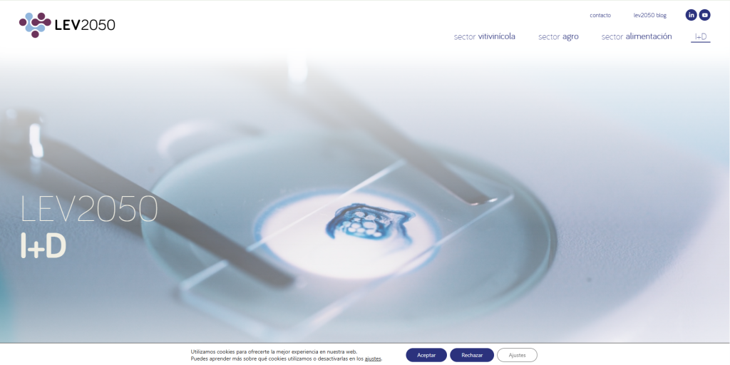 Image of the I+D page in LEV 2050